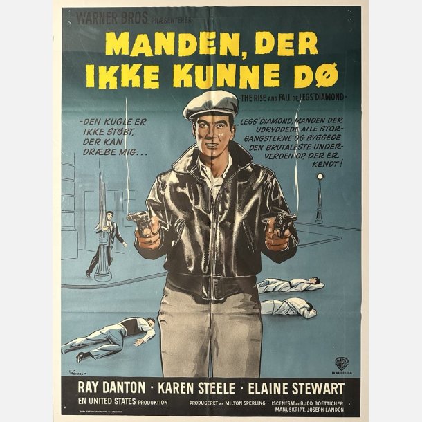 Manden der ikke kunne d